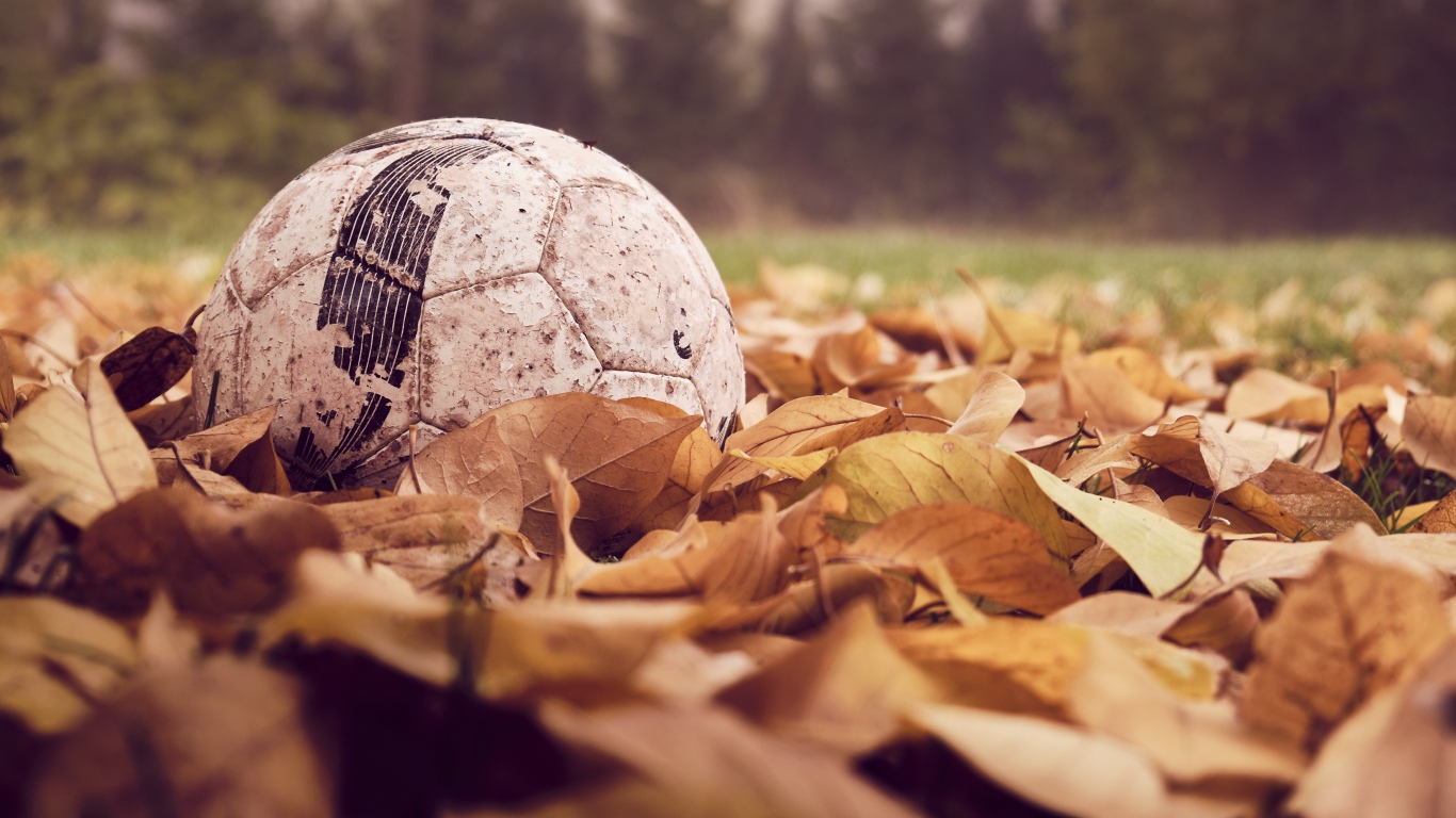 Старый футбольный мяч в сухой листве 