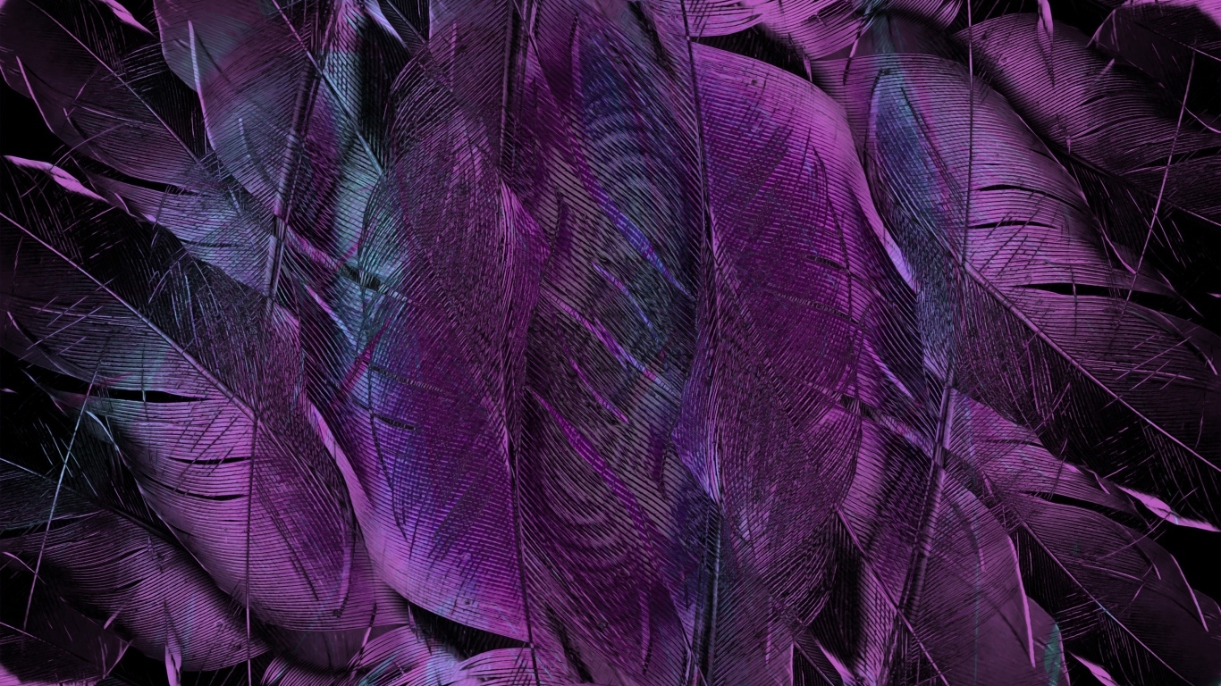 Фиолетовые перья птицы крупным планом