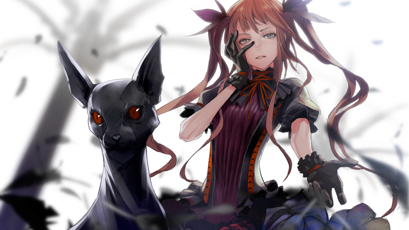 Девушка аниме с черным котом