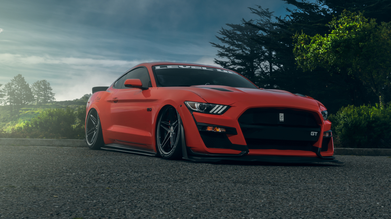 Красный автомобиль Ford Shelby GT500  на дороге