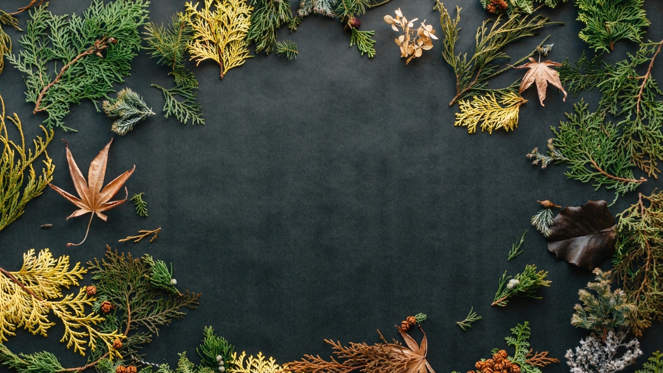 Серый фон с растениями