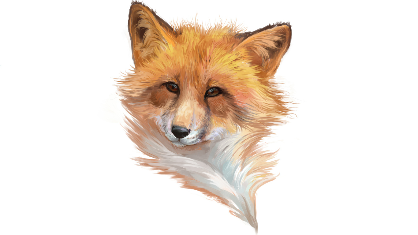 Нарисованная морда лисы на белом фоне