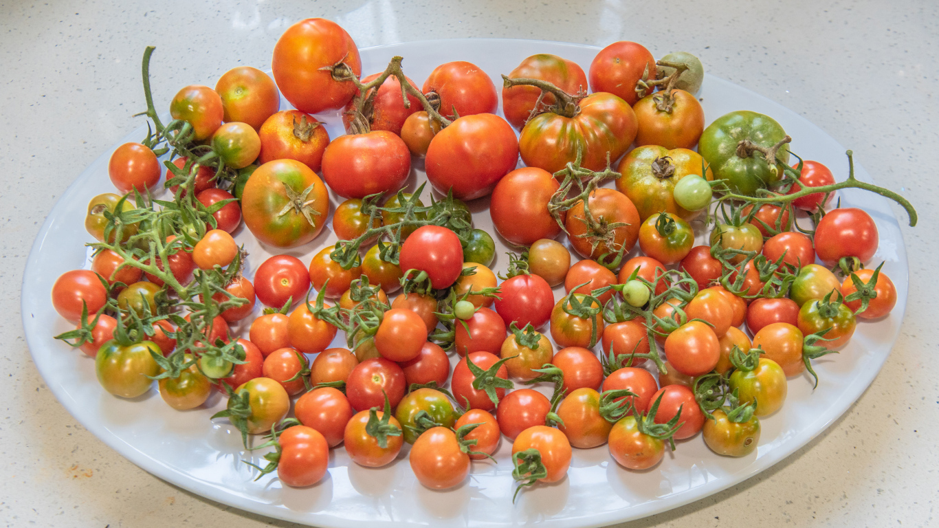 Большая белая тарелка с красными помидорами