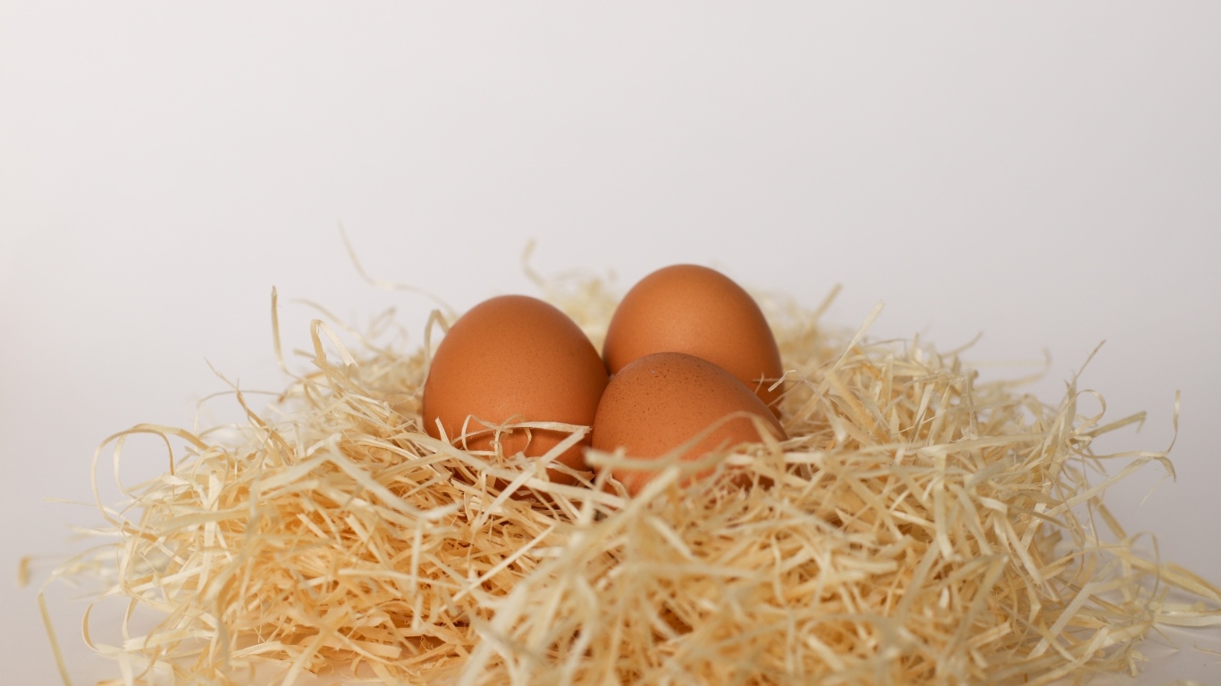 Три куриных яйца лежат в гнезде