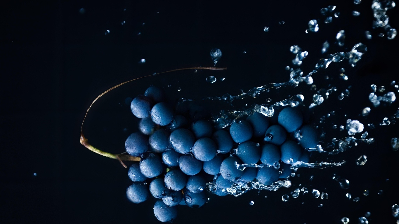Гроздь синего винограда в брызгах воды на черном фоне