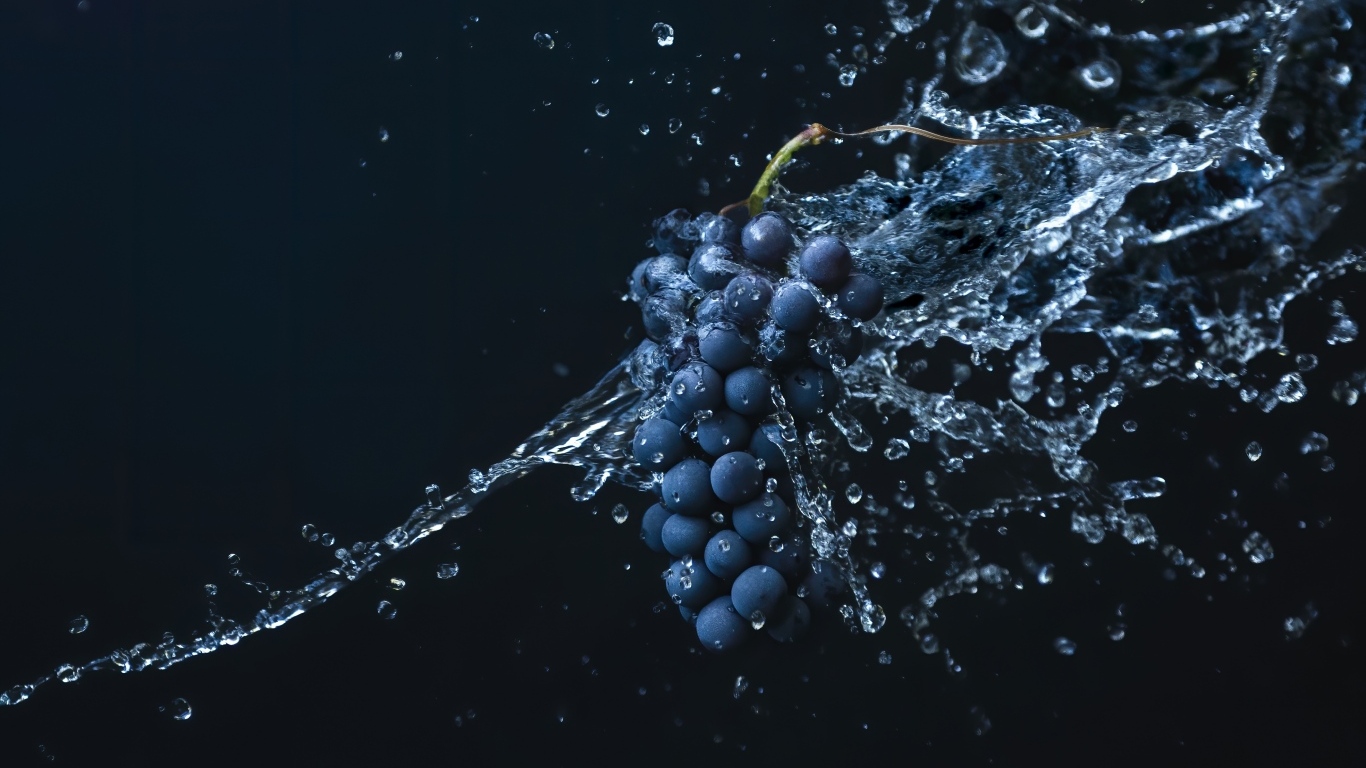 Гроздь синего винограда в воде на черном фоне