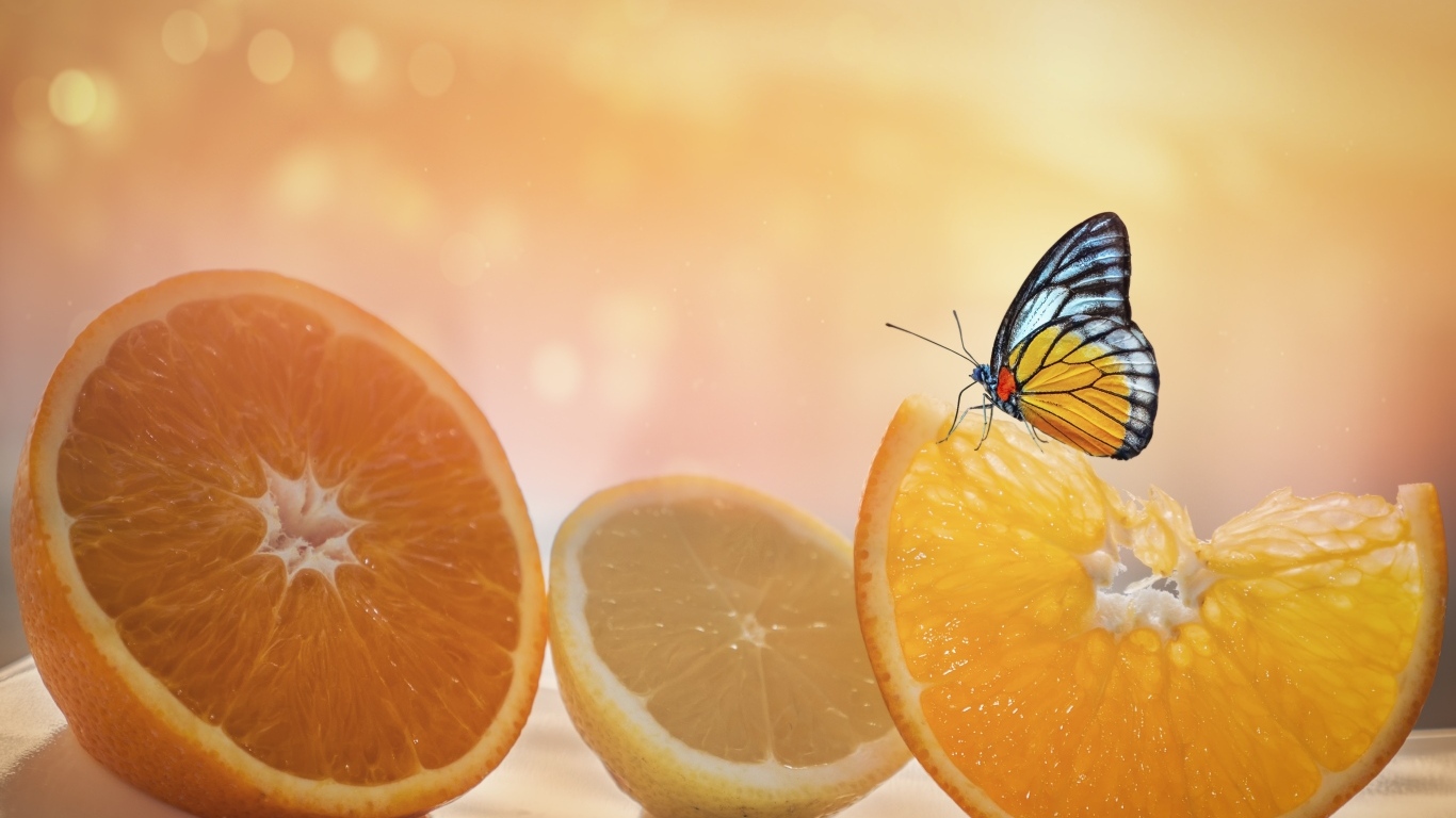 Большие оранжевые апельсины и лимон с бабочкой