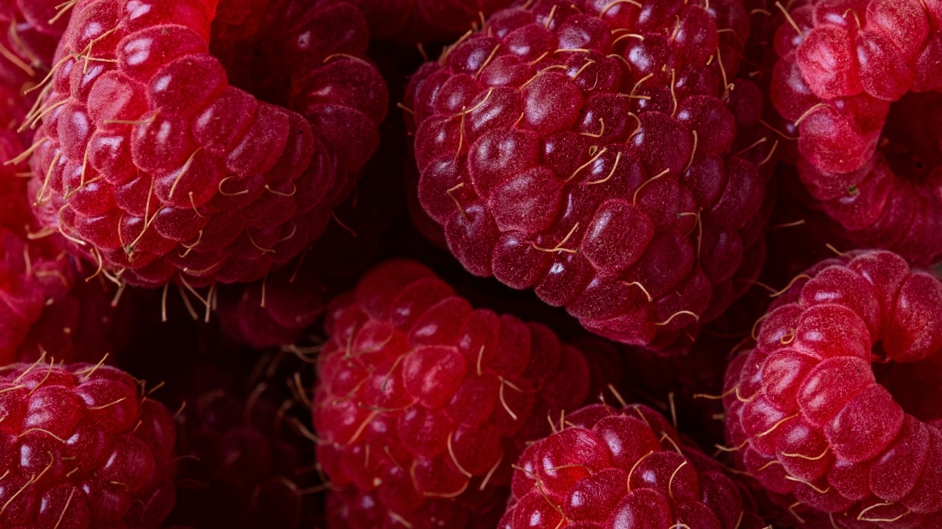 Крупная спелая красная малина