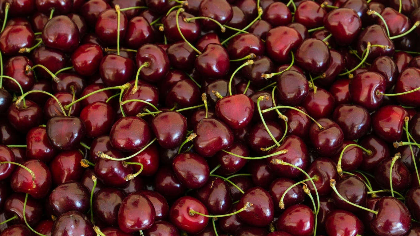 Много вкусной спелой красной черешни 