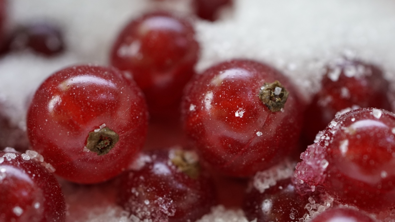 Красная смородина с сахаром крупным планом