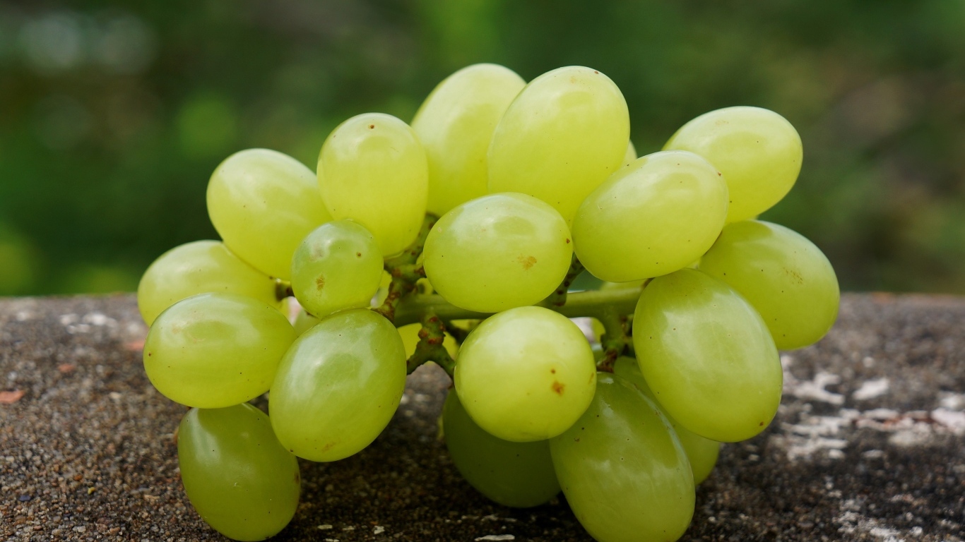 Белый виноград лежит на асфальте
