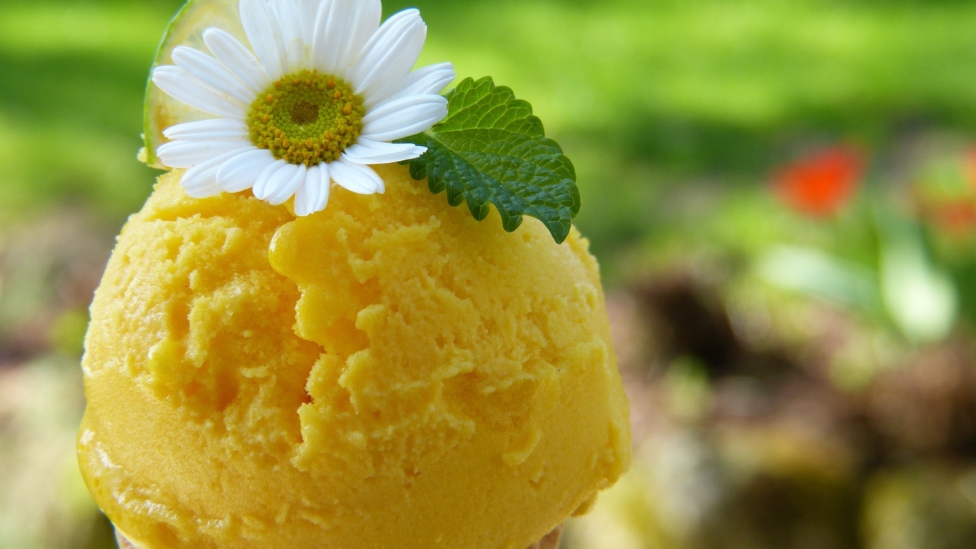 Желтое фруктовое мороженое с цветком ромашки