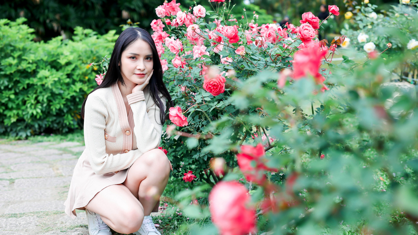 Красивая девушка сидит у куста роз