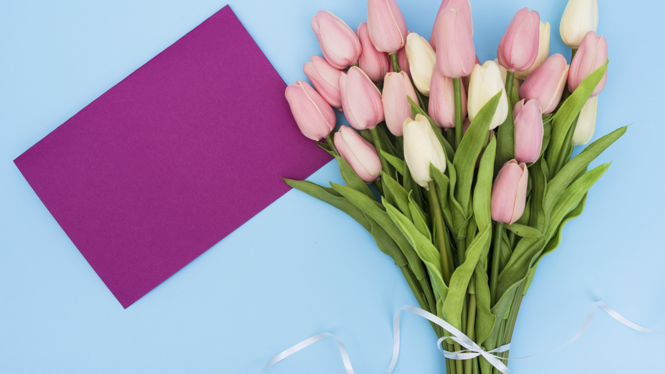 Букет тюльпанов на голубом фоне шаблон поздравительной открытки на 8 марта