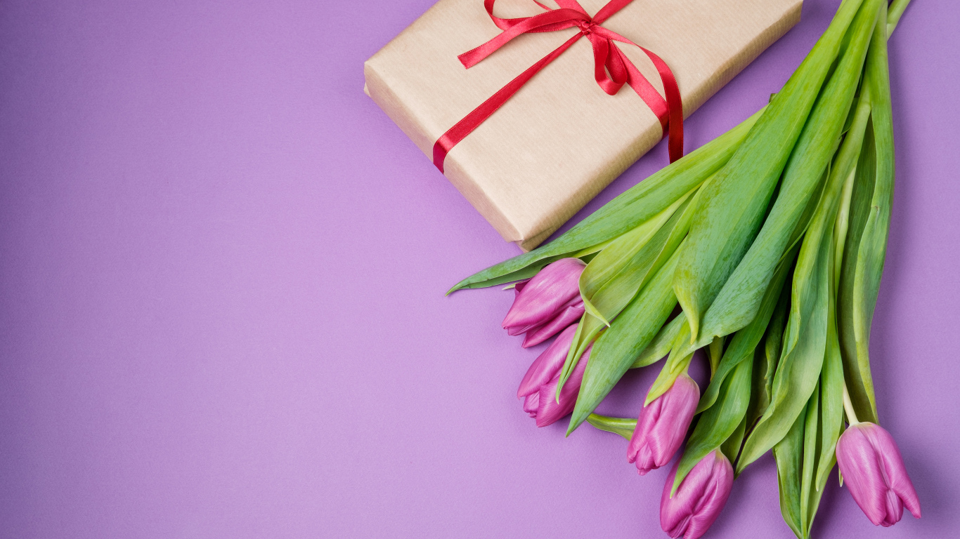 Подарок и букет красивых тюльпанов на сиреневом фоне