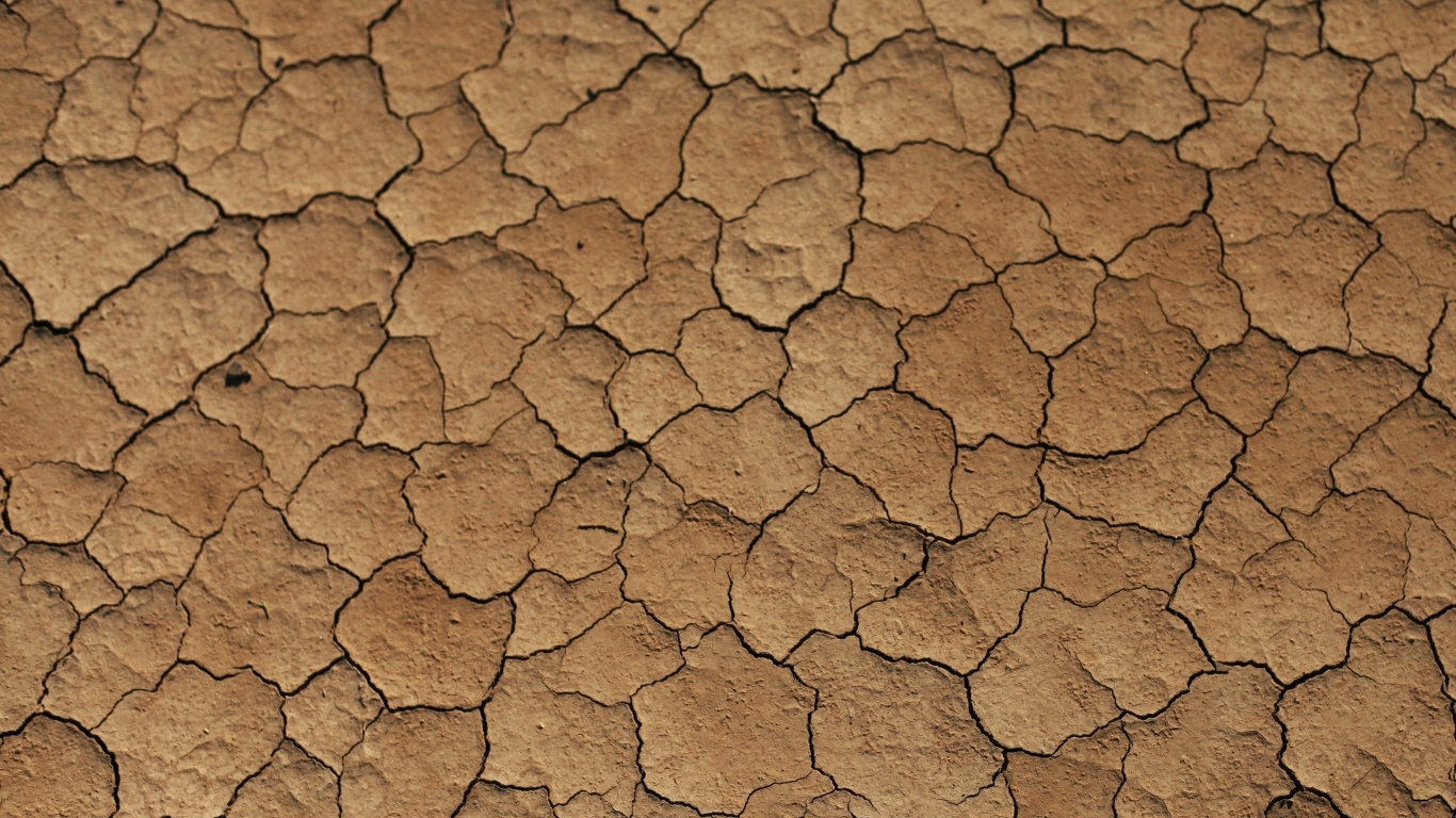 Трещины на сухой земле 