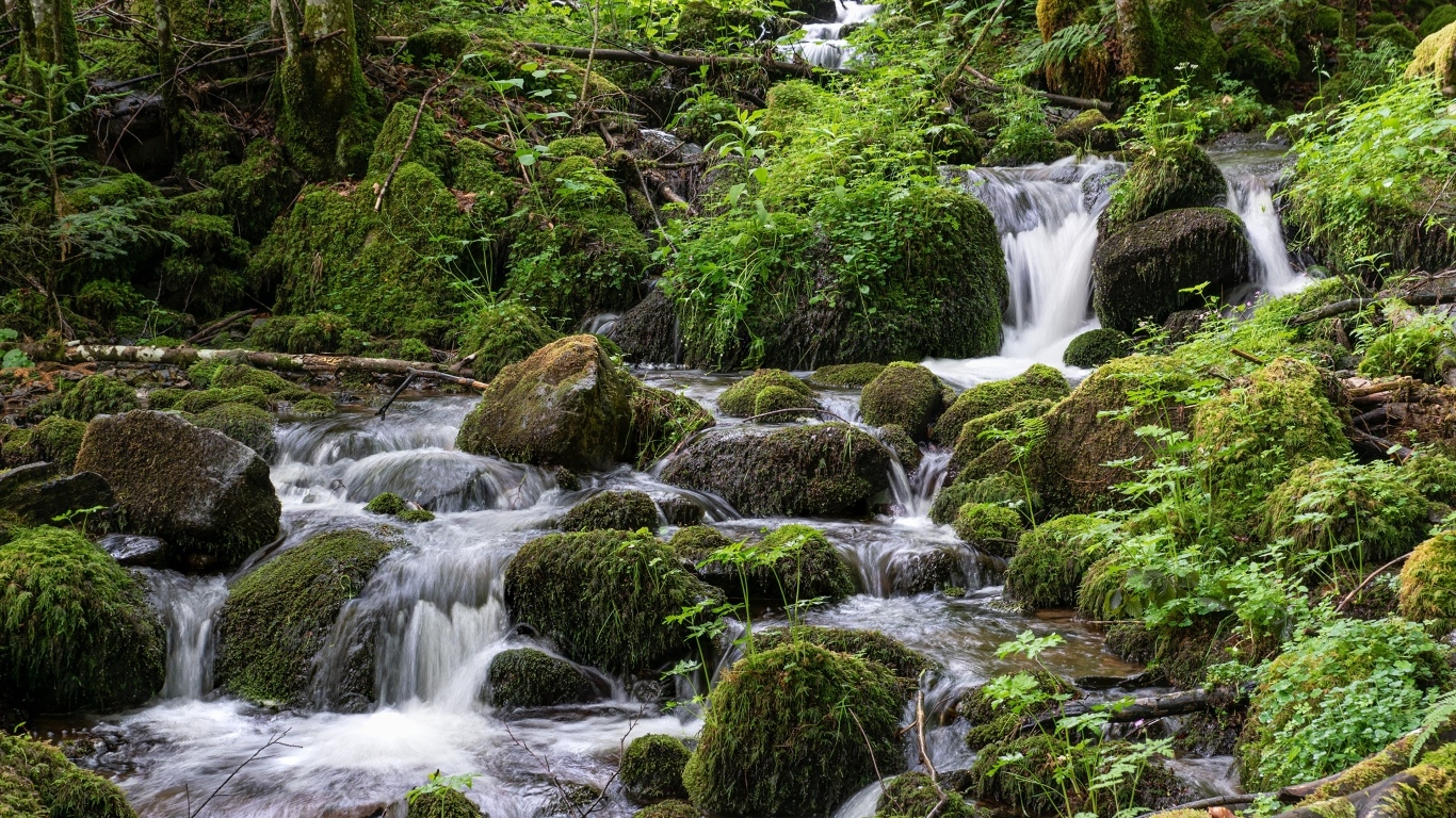 Большие покрытые мхом камни в лесном ручье
