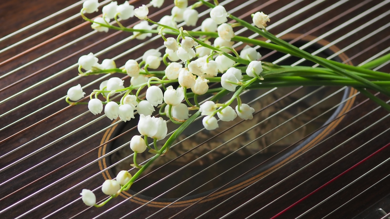 Букет белых ландышей лежит на струнах