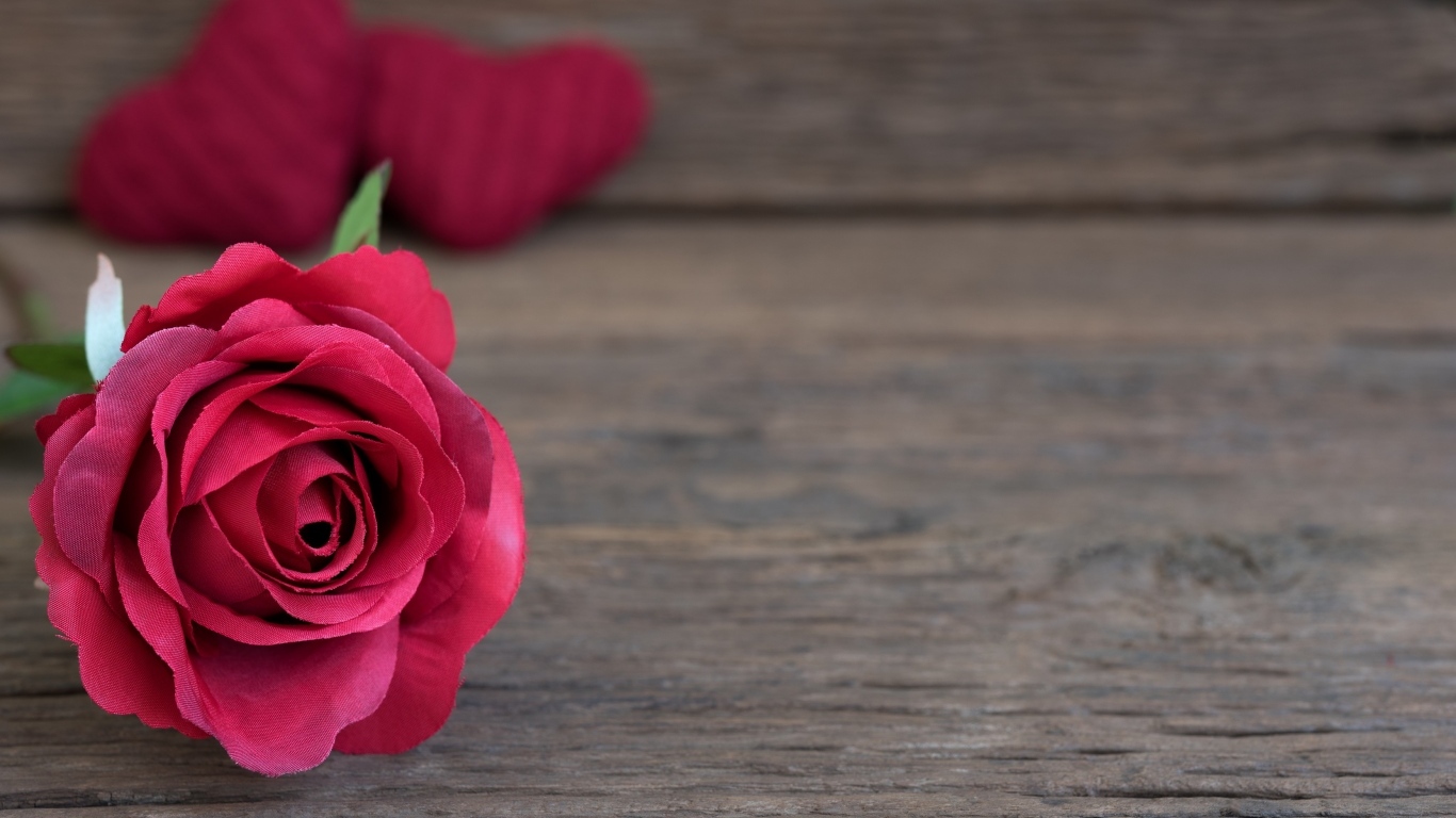 Искусственная роза на деревянном фоне с сердечками