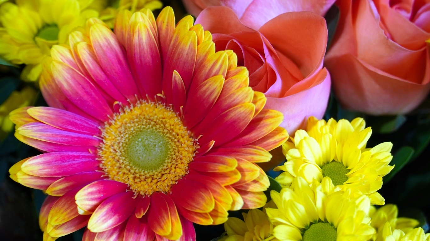 Красивый букет из цветов хризантемы и розы