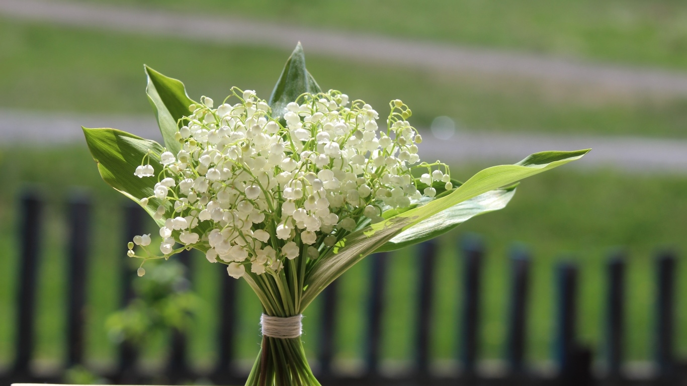 Красивый букет белых ландышей на столе в вазе