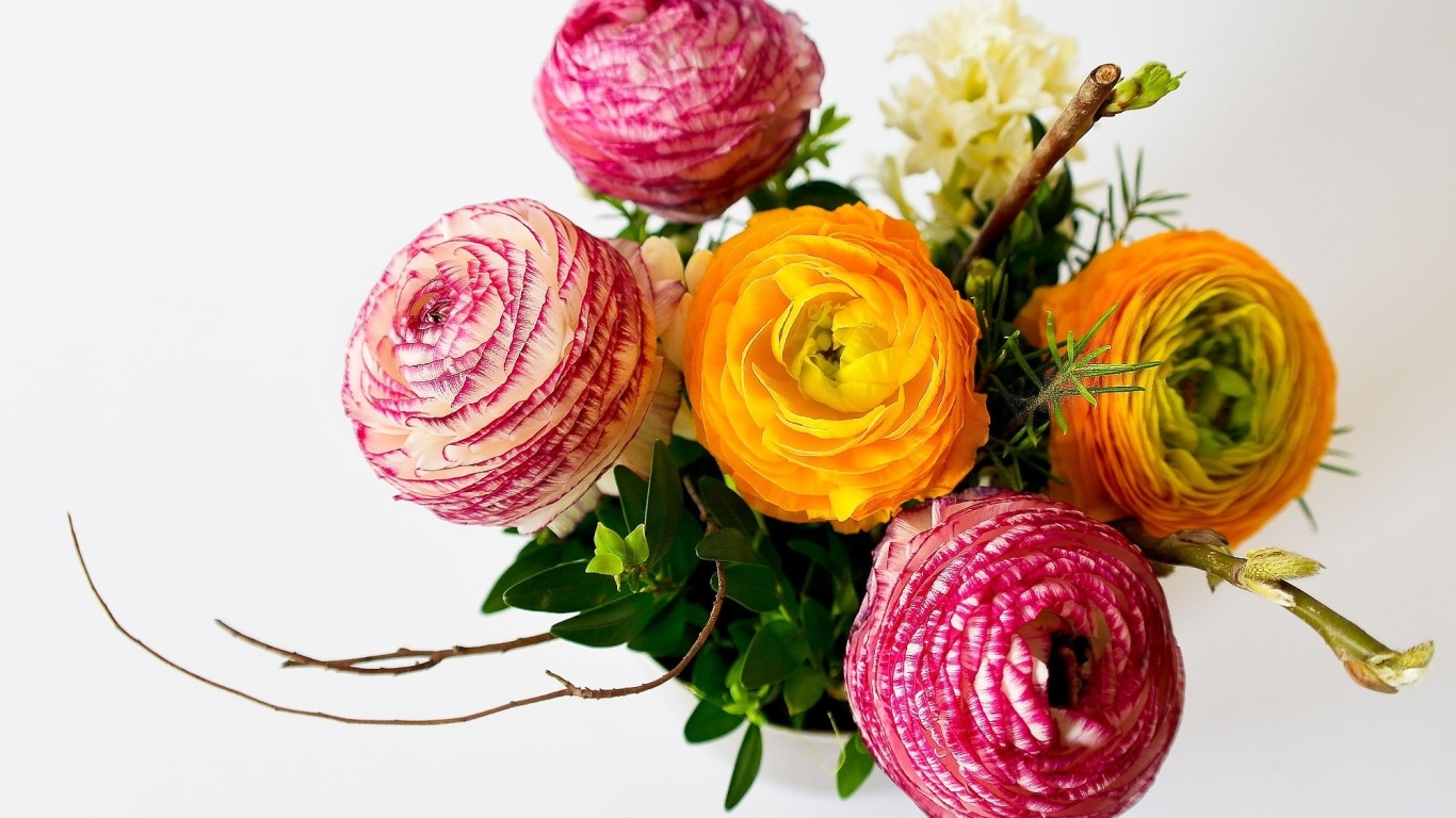 Букет разноцветных цветов лютика на сером фоне