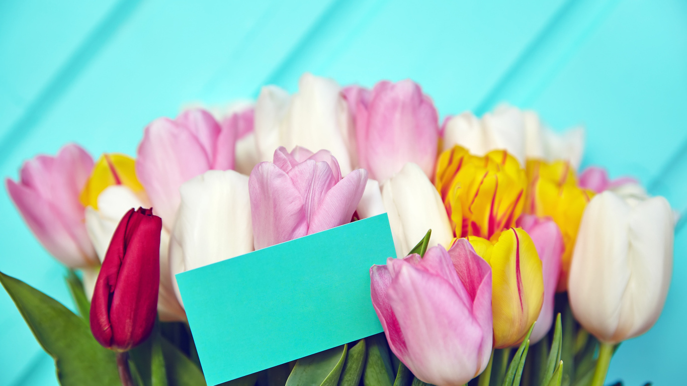 Букет разноцветных тюльпанов с открыткой