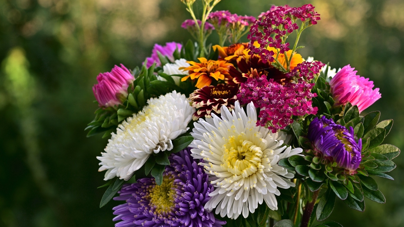 Яркий букет садовых осенних цветов