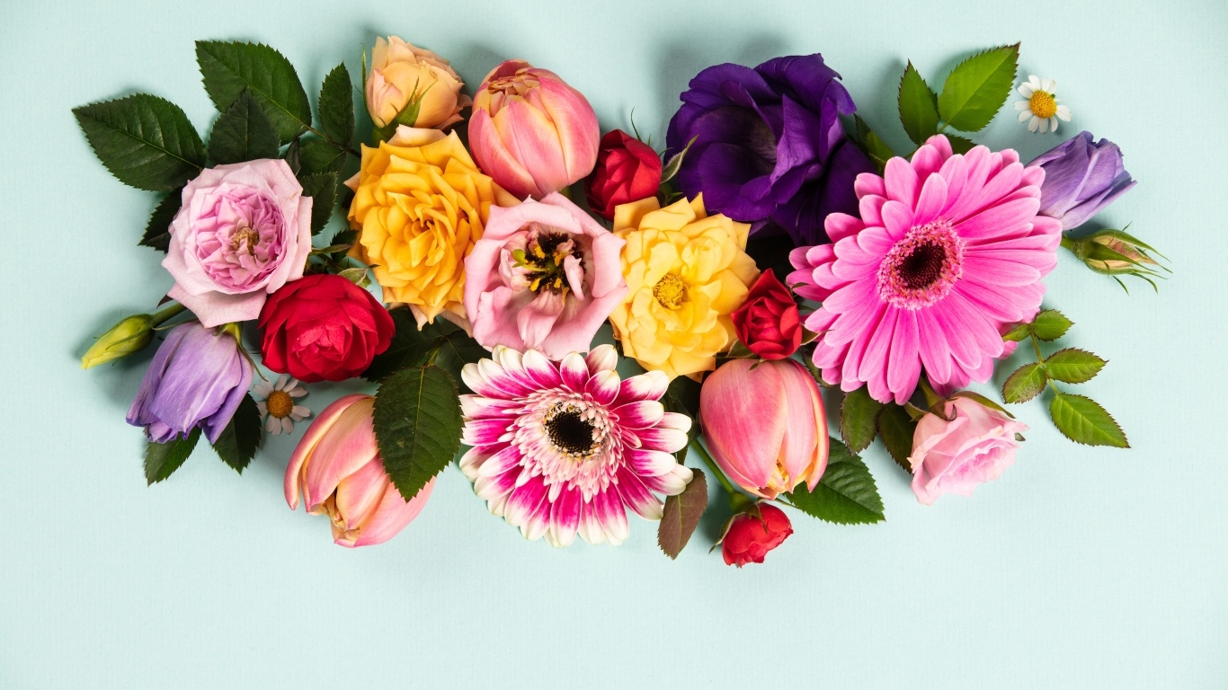 Композиция из разных цветов на сером фоне