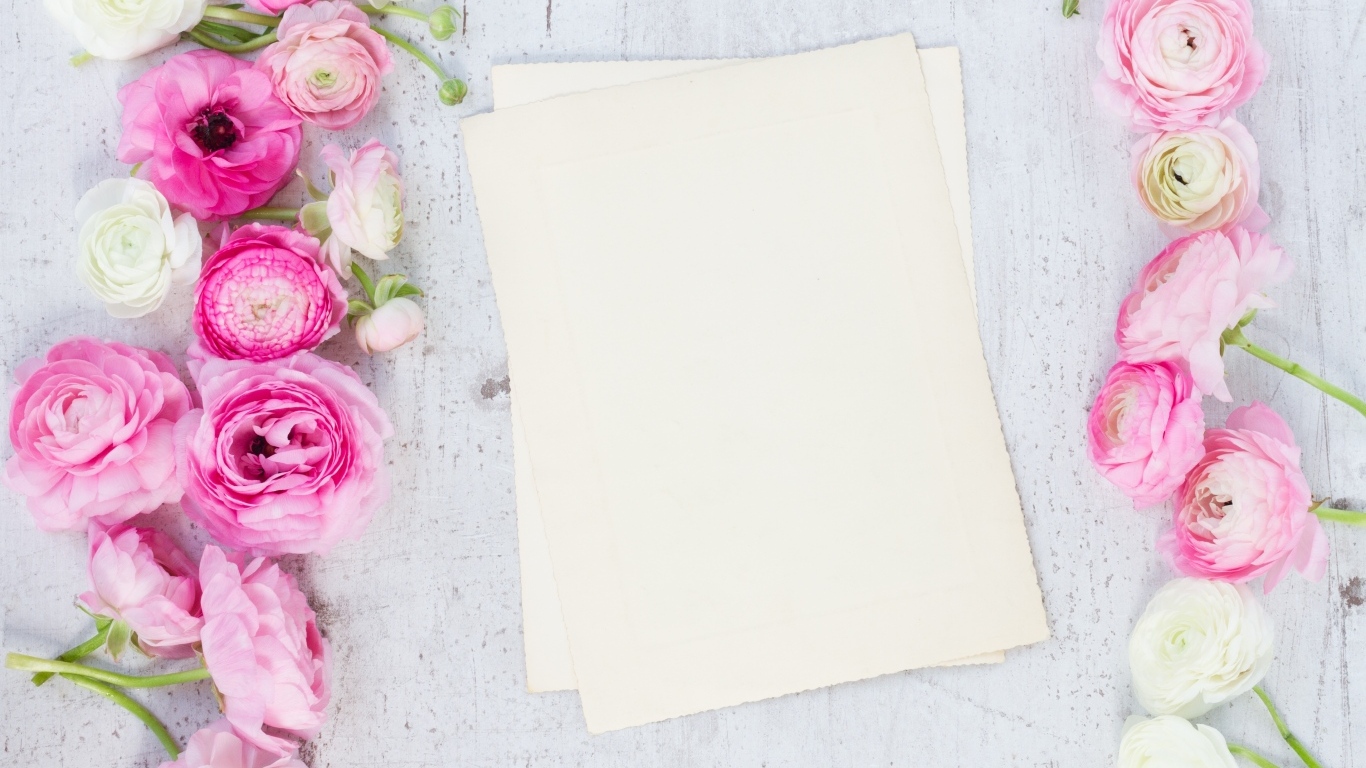 Розовые лютики с белыми листами на сером столе