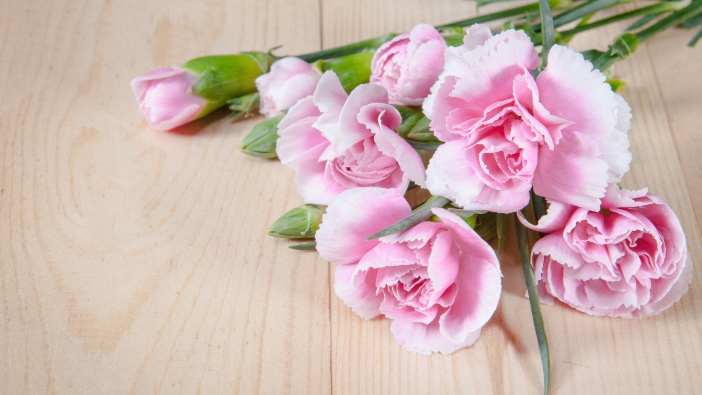 Розовые гвоздики на столе