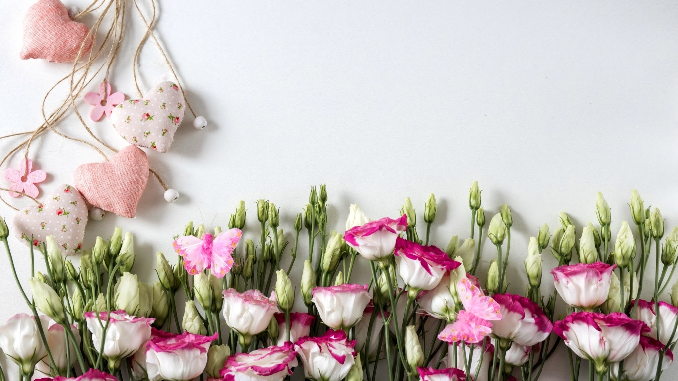 Розовые цветы эустомы с сердечками на сером фоне