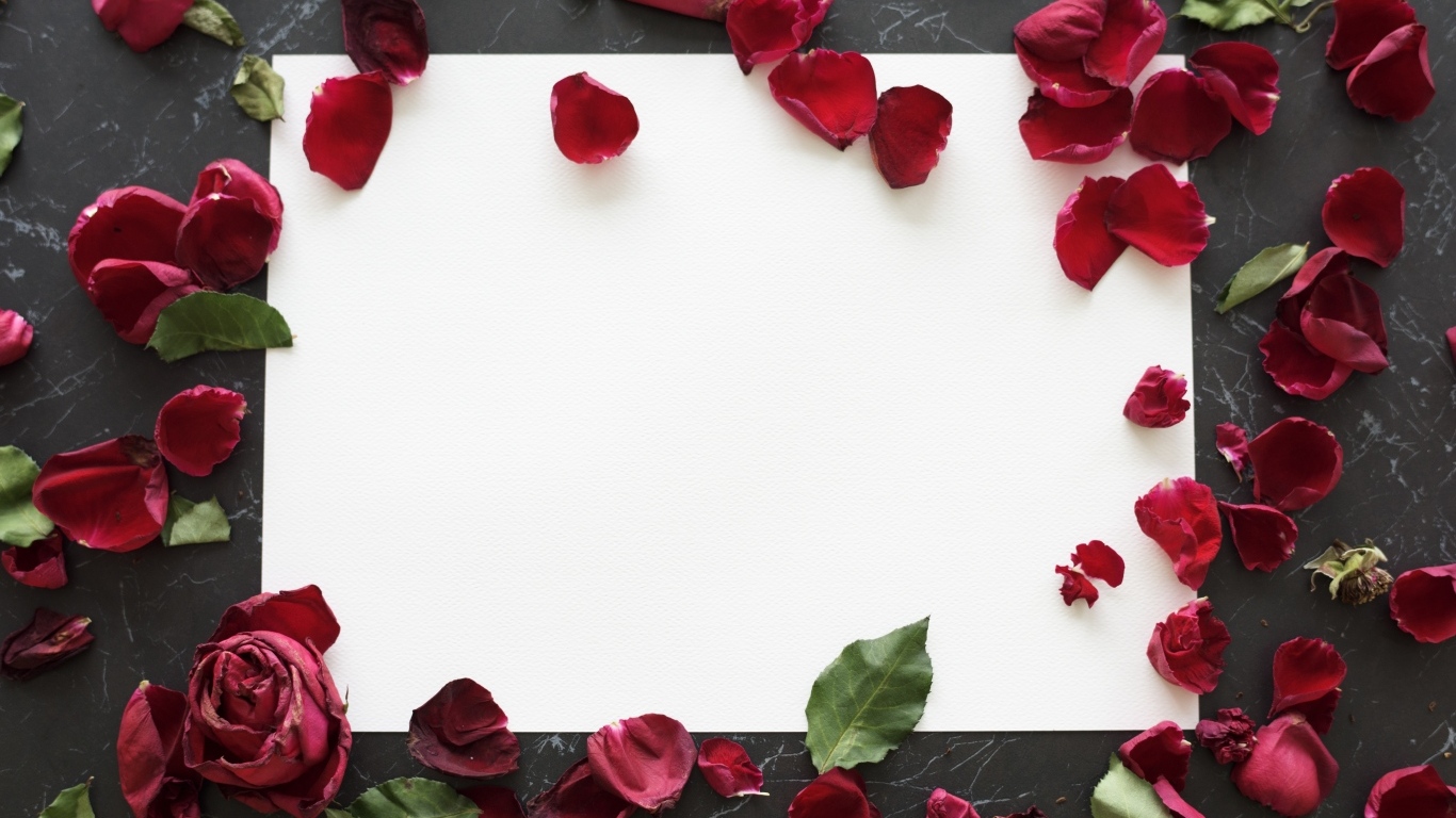 Лепестки розы с белым листом на столе