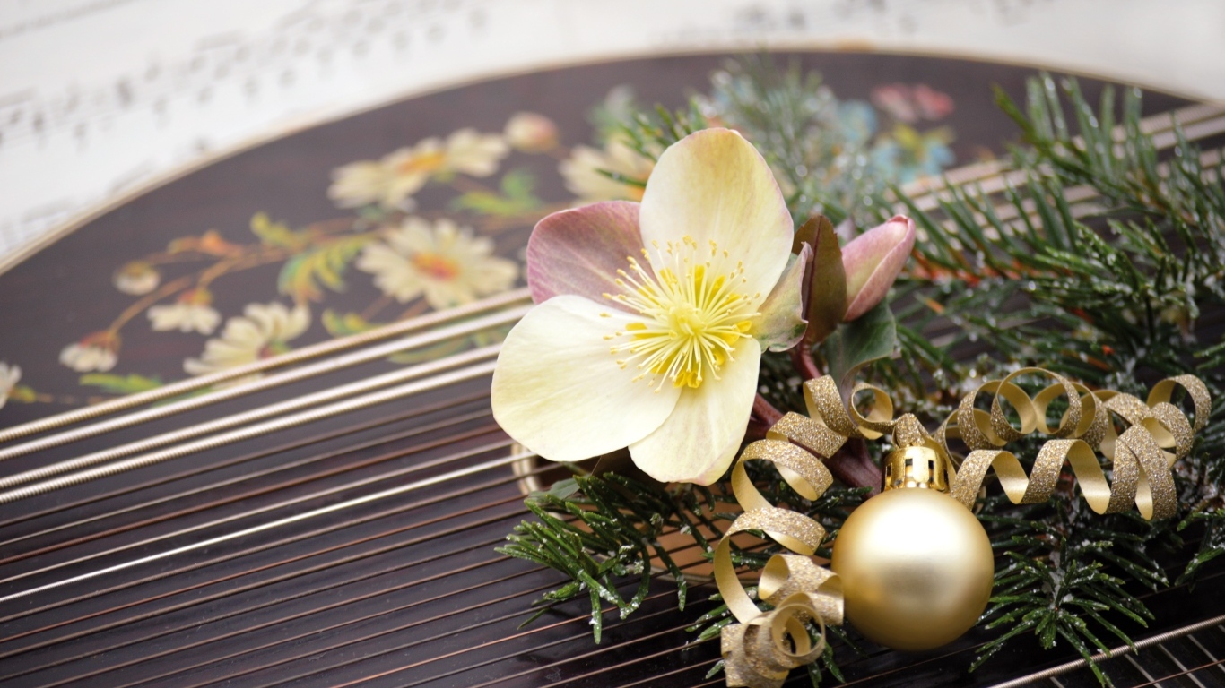 Цветок лежит на музыкальном инструменте