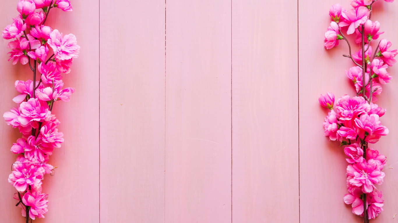 Два весенних цветка на розовом фоне