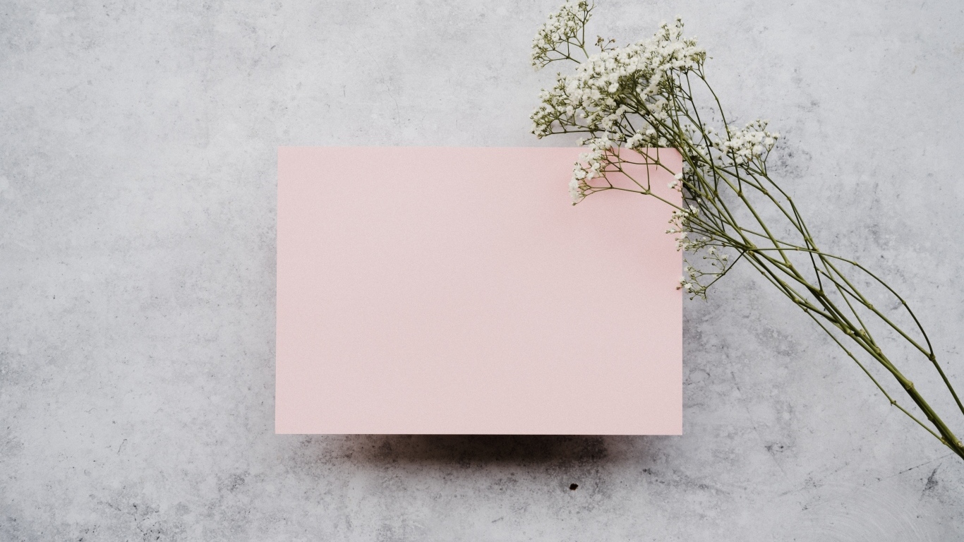 Белые цветы и лист розовой бумаги на сером фоне