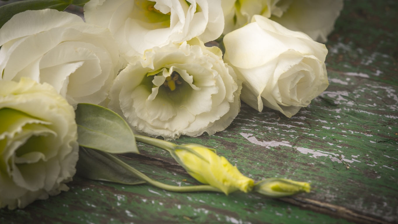 Белые розы и цветы эустомы на столе