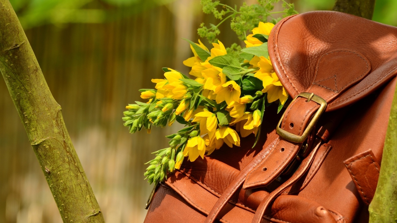Желтые цветы лежат в кожаном рюкзаке 