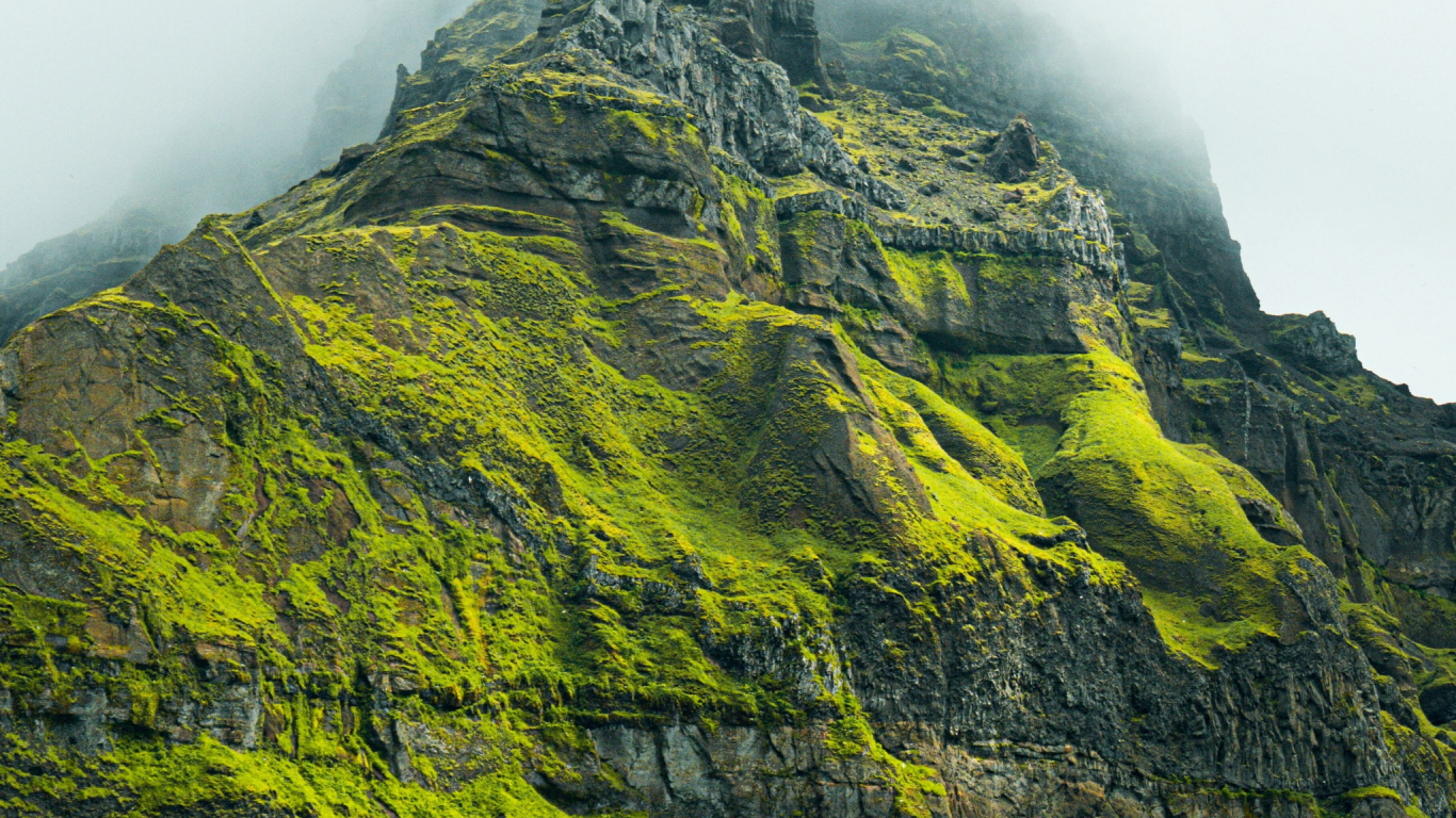 Высокая гора покрыта зеленой растительностью