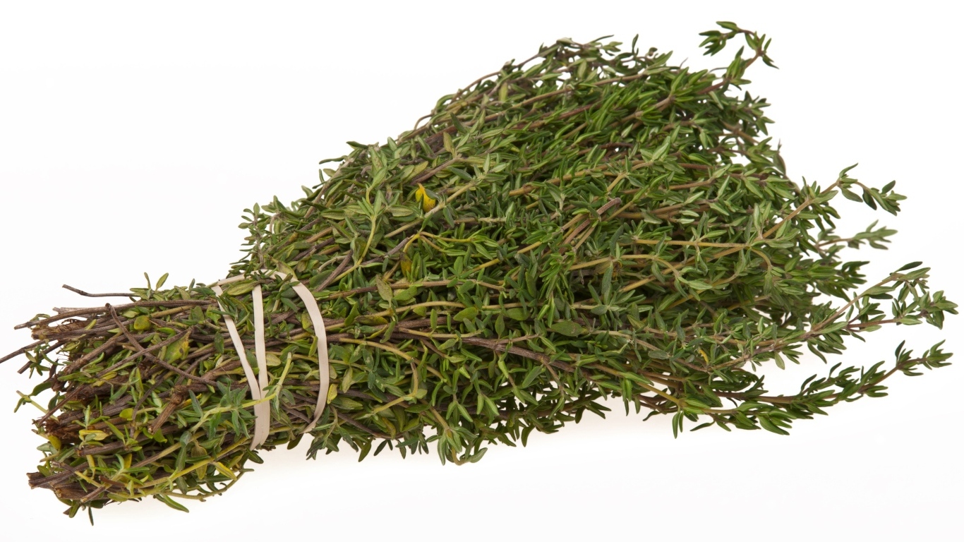 Пучок листьев розмарина на белом фоне