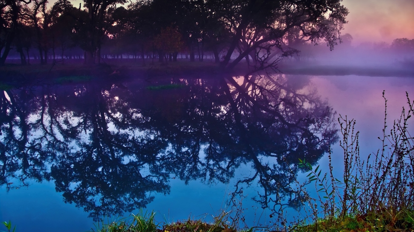 Деревья отражаются в воде озера в сумерках