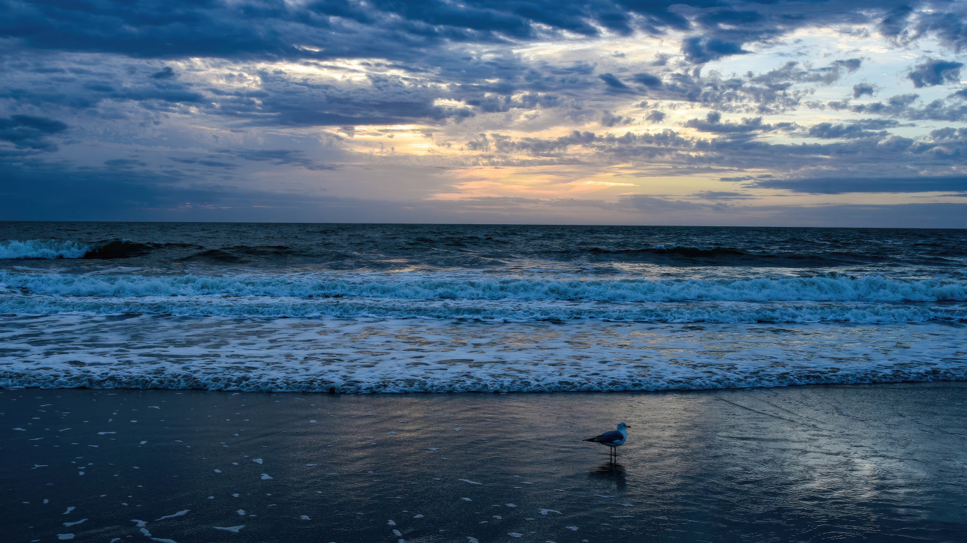 Белые волны окутывают берег моря на рассвете