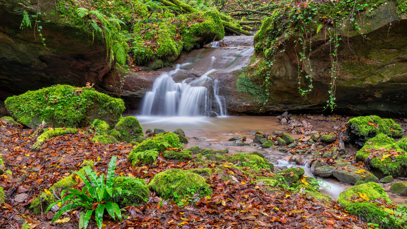Маленький водопад в лесу с покрытыми мхом камнями
