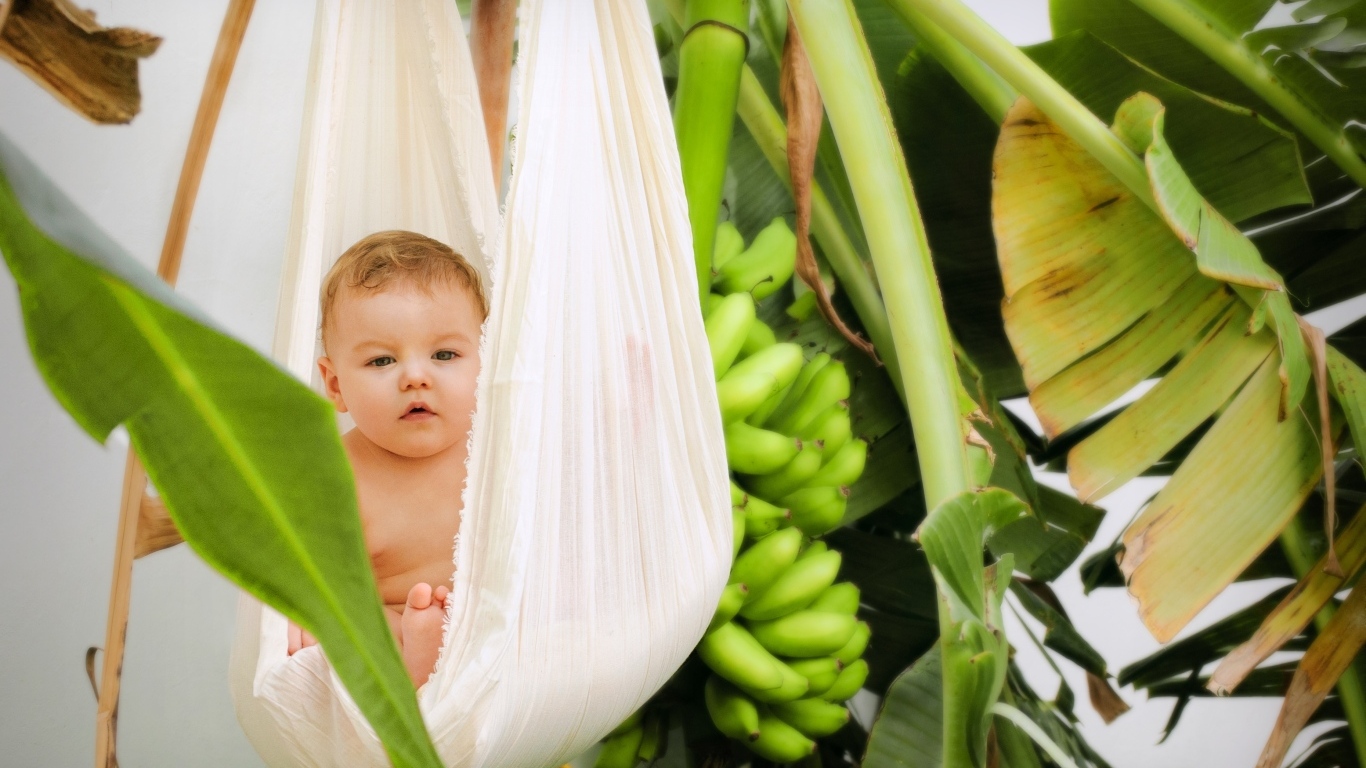 Ребенок в гамаке в тропических зарослях