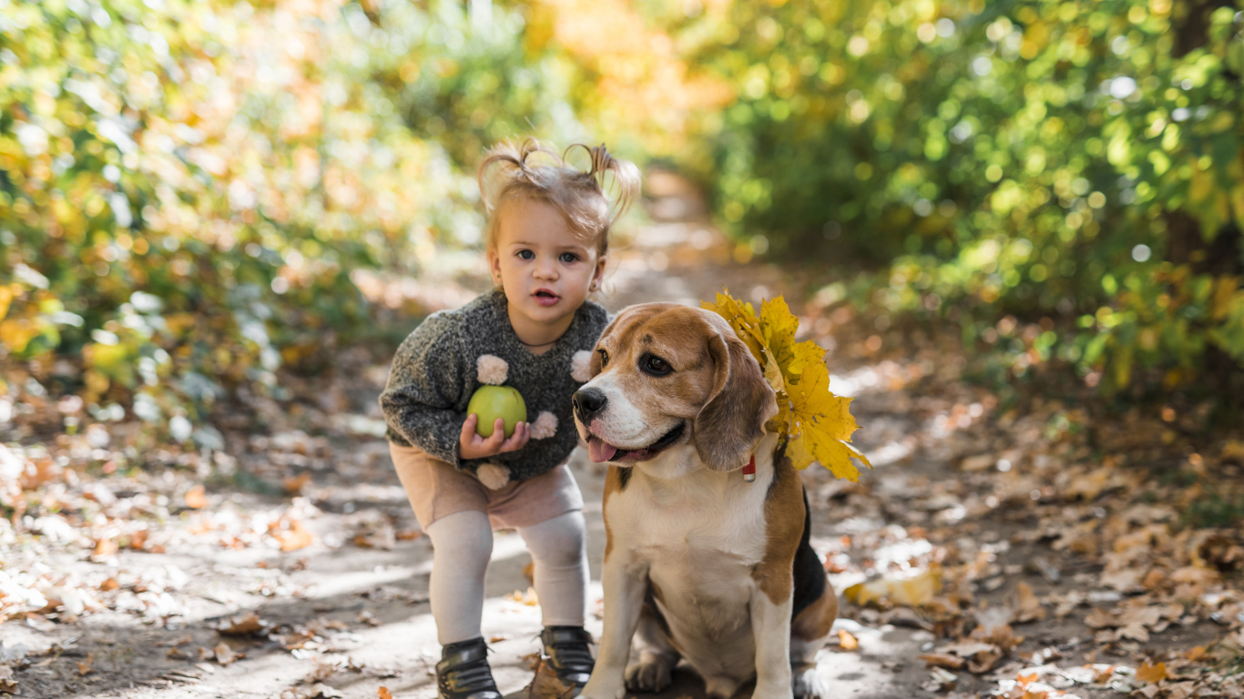 Маленькая девочка с собакой в парке