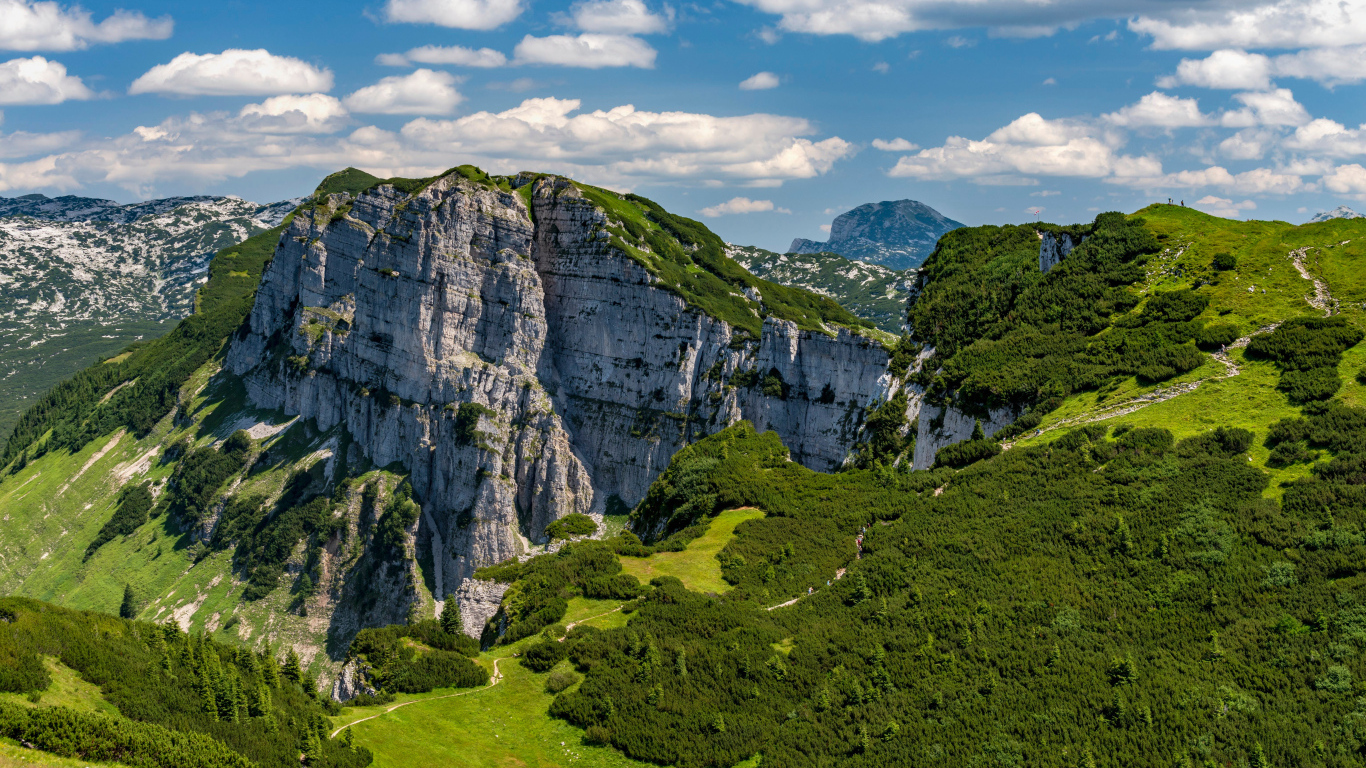 Вид на покрытые зеленью Австрийские Альпы