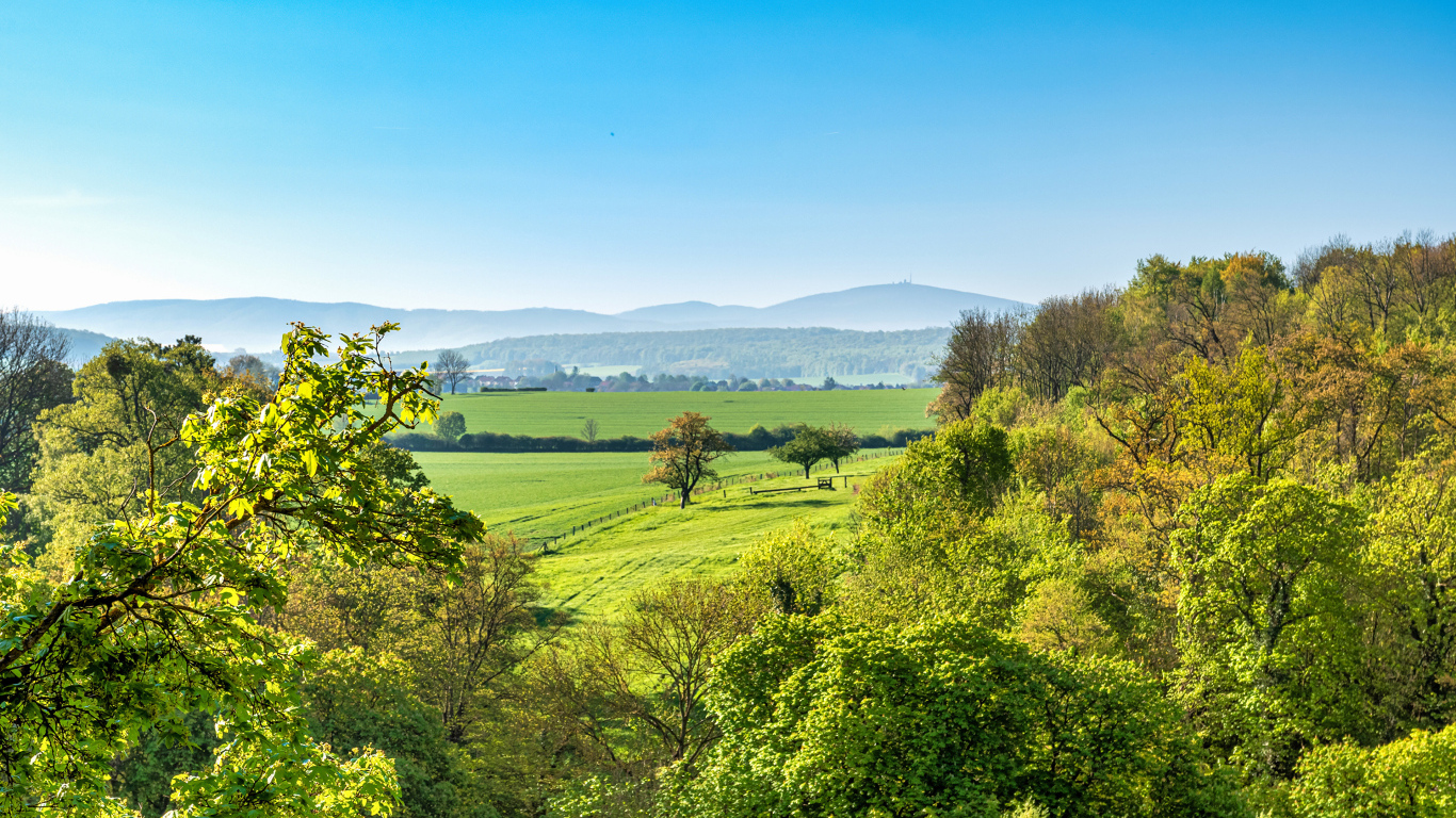 Зеленые деревья под голубым небом, Германия
