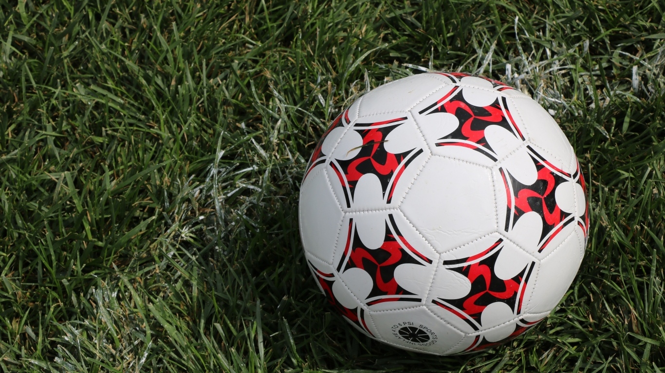 Кожаный футбольный мяч на зеленой траве