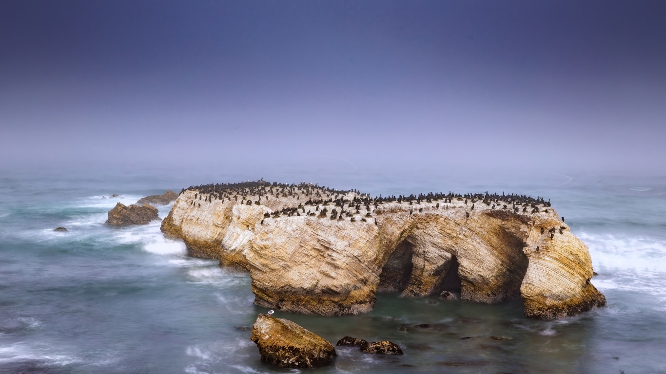 Пингвины на скале с бушующем море