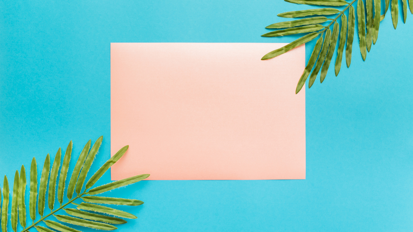 Лист бумаги и два зеленых листа на голубом фоне